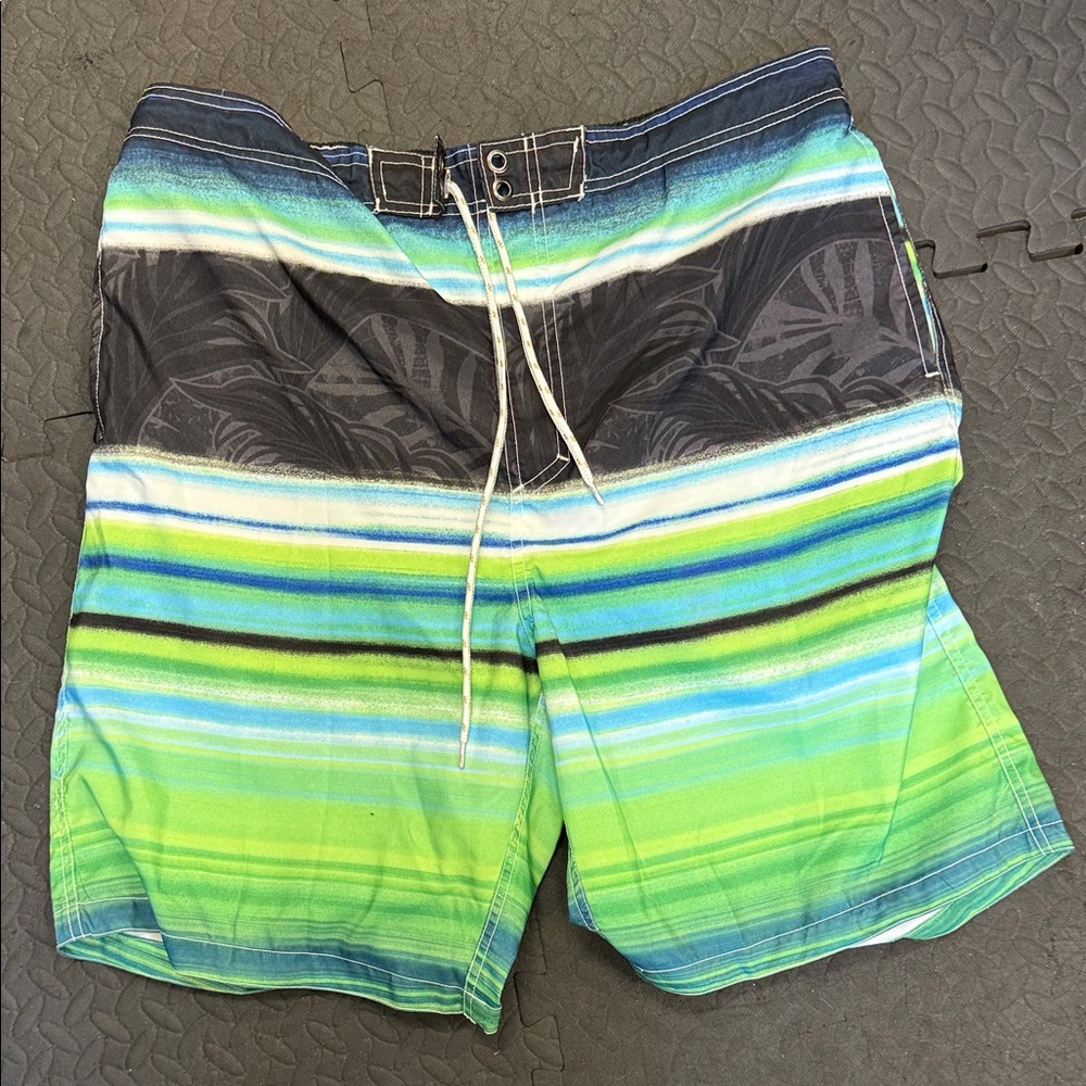 Tropical Men's Green and Blue Striped Swim Shorts